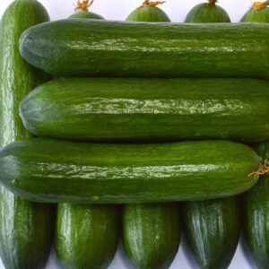 CUCUMBER xxx F1