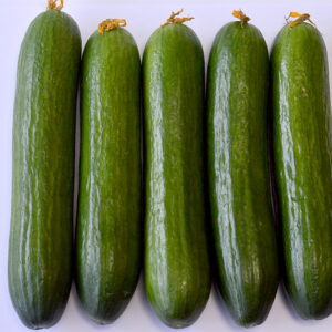 CUCUMBER SMANF1