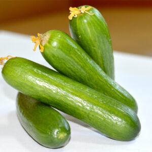 CUCUMBER SOMON F1