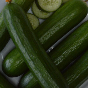 CUCUMBER