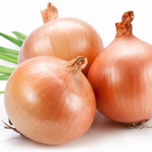 Onion Texas Early Grano 502