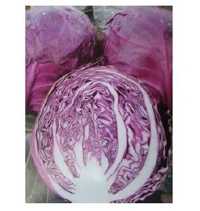 Cabbage