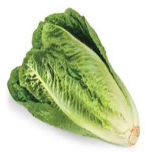 Lamb Lettuce